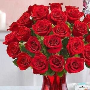 Meet your Posher, Faith